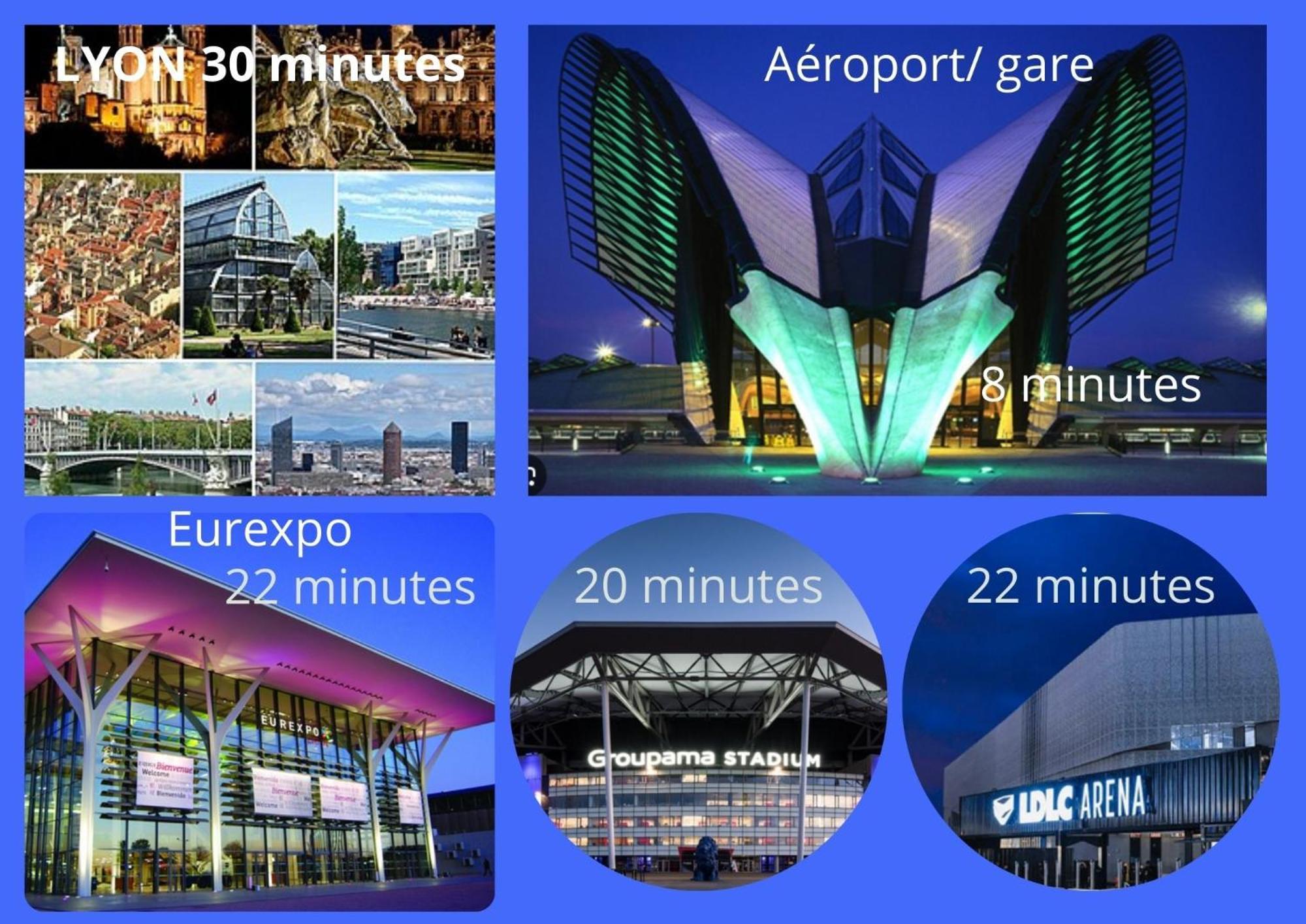 Cosy 152 Proche Aeroport -Gare-Groupama Stadium-Lyon Коломбье-Сонье Экстерьер фото